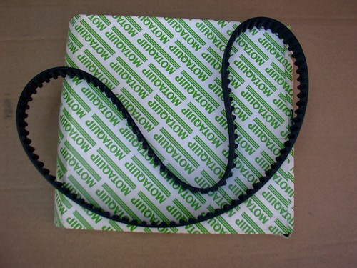 Motaquip cinghia distribuzione - cinghia,